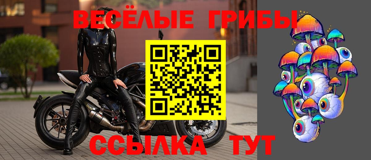 Галлюциногенные грибы Cubensis  Вход с VPN  Коряжма 