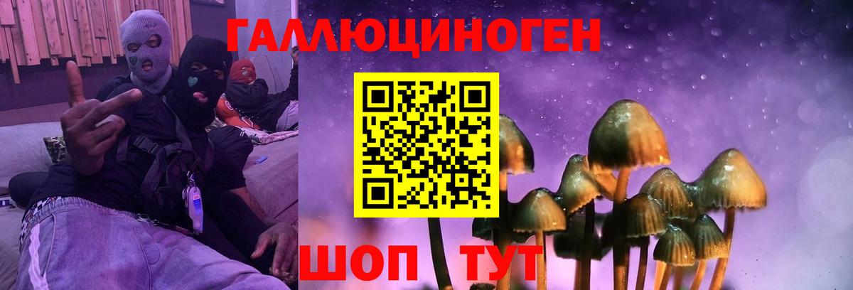 Псилоцибиновые грибы мицелий Коряжма